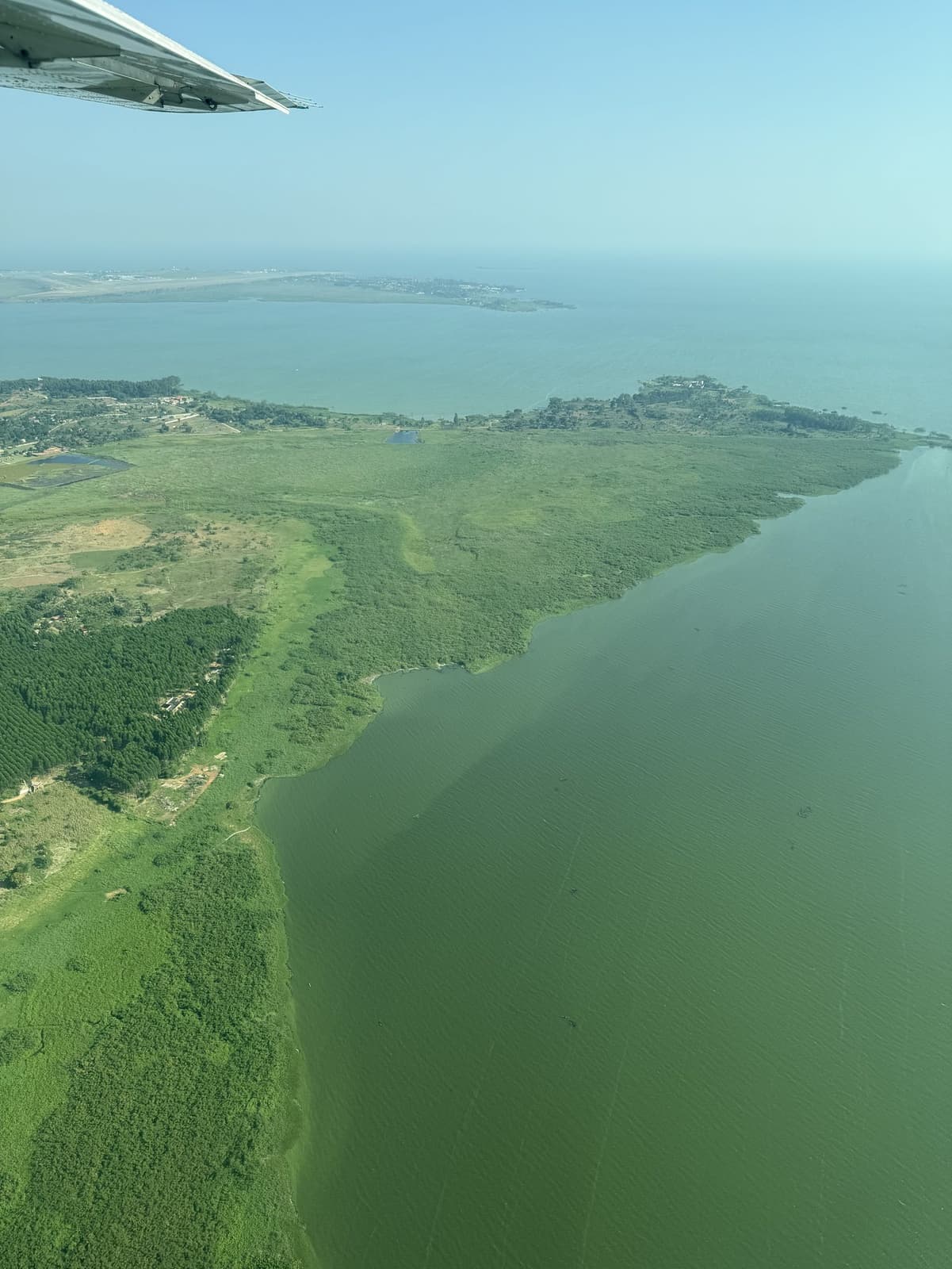 Aerial view of Lake Victoria shoreline