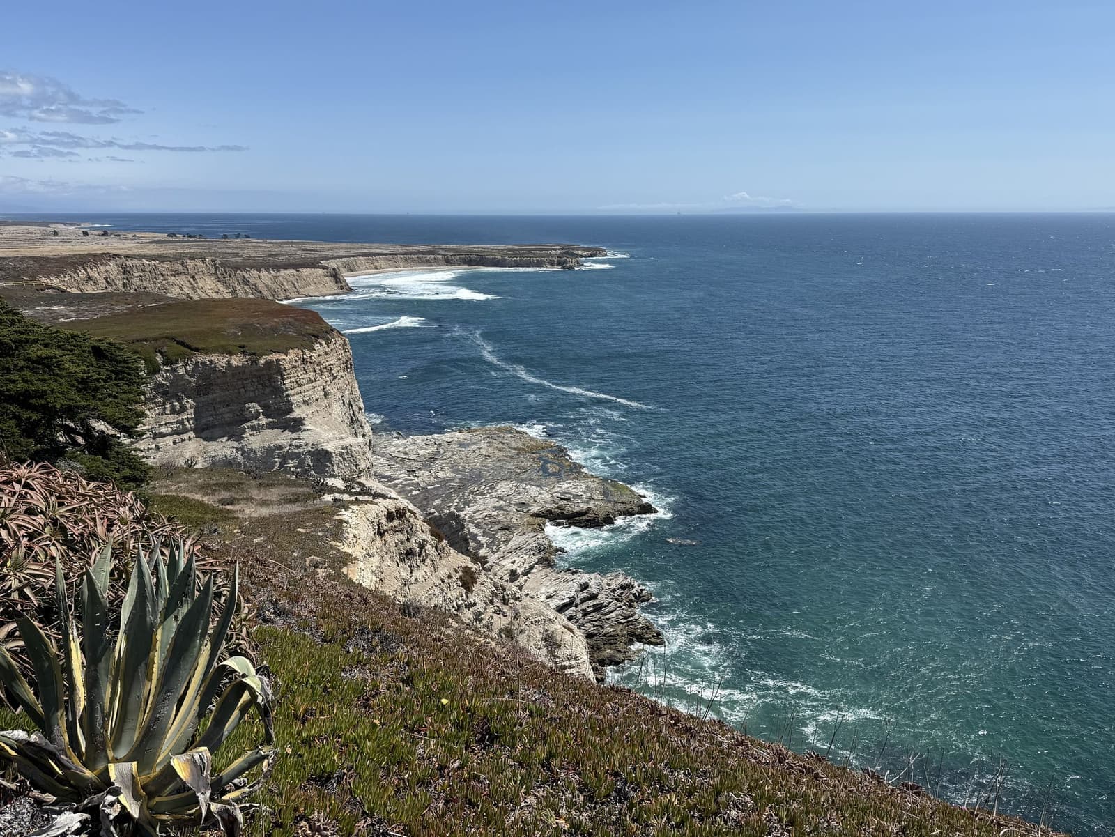 Sea cliffs and coastal scrub along the shoreline of the Jack and Laura Dangermond Preserve, with the Pacific stretching to the horizon.