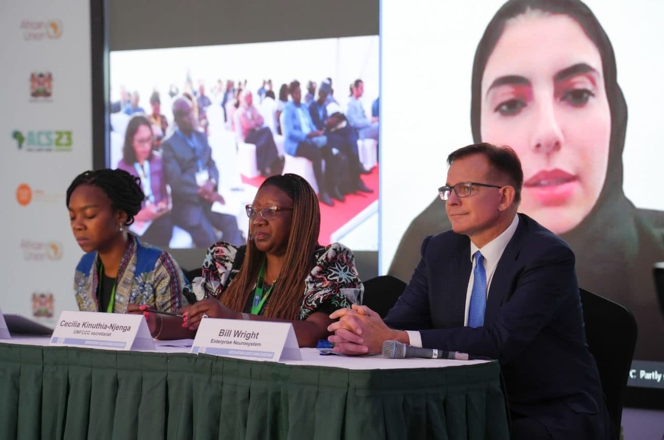 Three panellists at a UNFCCC session table — Bill Wright of the Enterprise Neurosystem beside Cecilia Kinuthia-Njenga of the UNFCCC secretariat — with a remote speaker on the screen behind them.